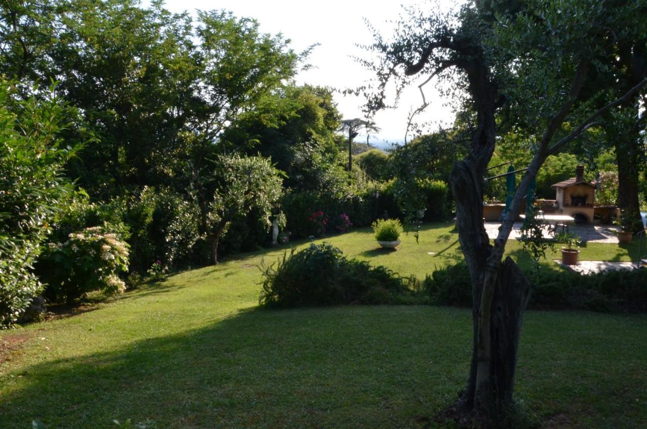 Maison Brinati Bed And Breakfast Monsummano Terme Exterior photo