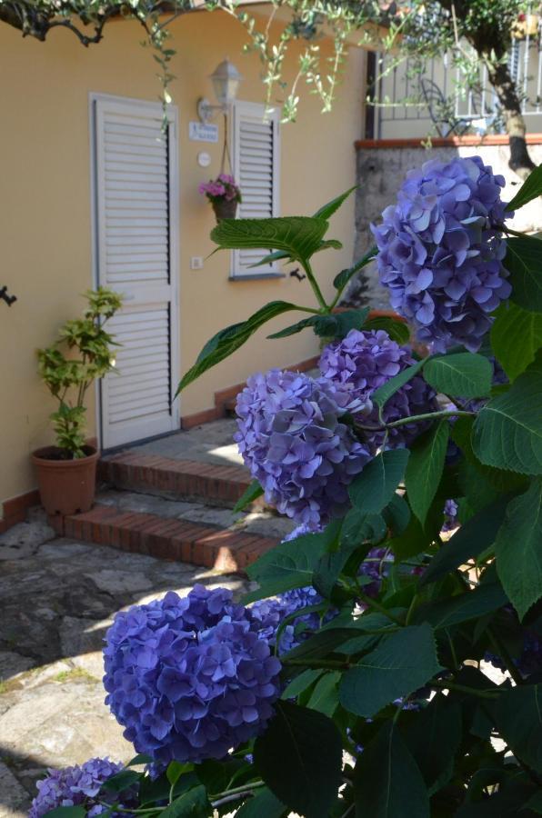 Maison Brinati Bed And Breakfast Monsummano Terme Exterior photo